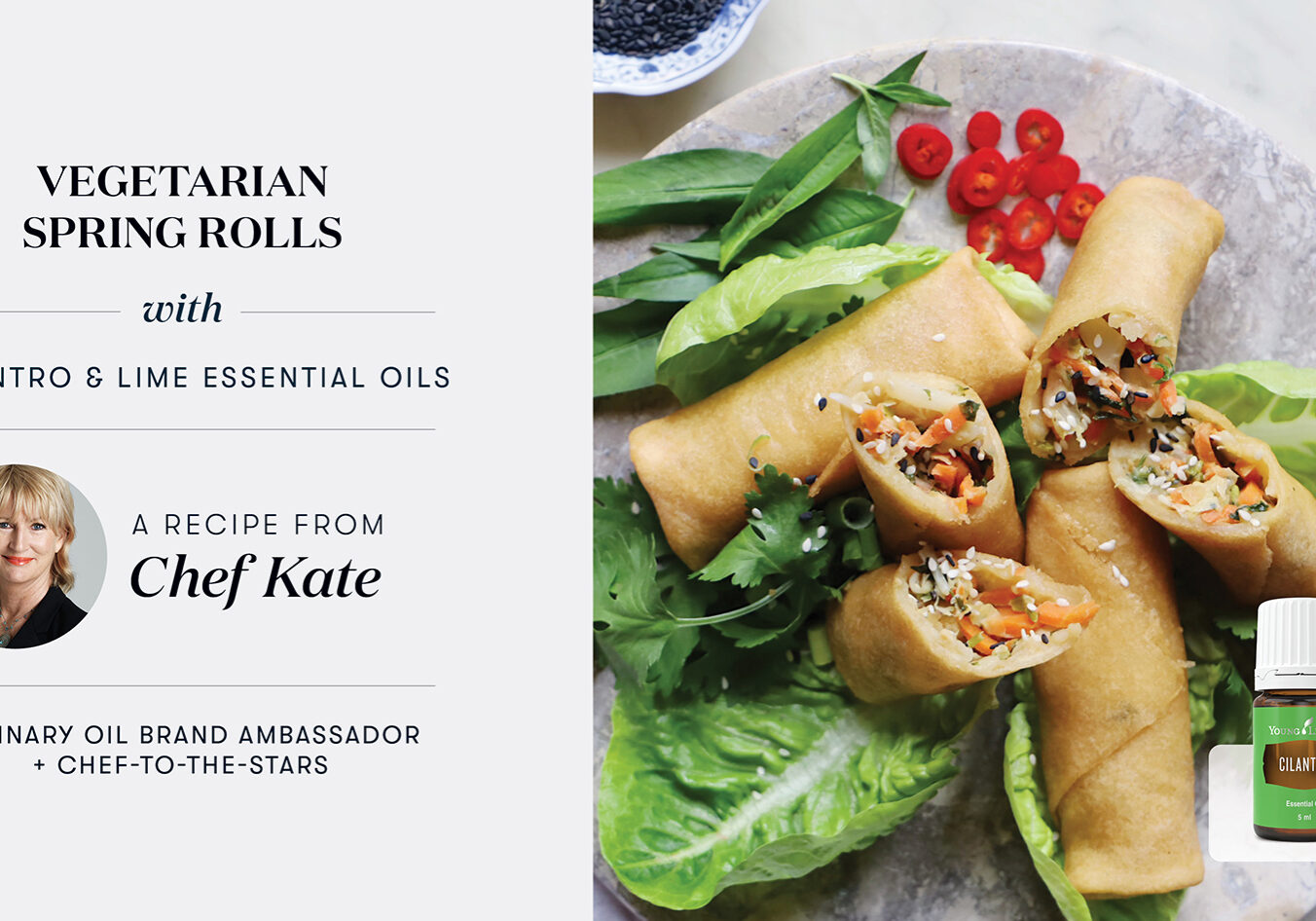 Baked Vegetarian Spring Rolls